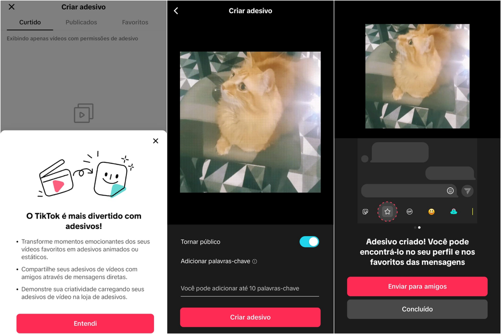 Como criar adesivo a partir de vídeos no TikTok (Imagem: Captura de tela/Guilherme Haas/Canaltech)