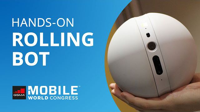 LG Rolling Bot: um BB-8 para segurança e monitoramento de pets [Hands-on | MWC 2