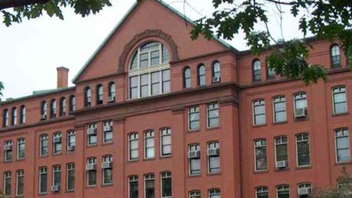 Portal traz cursos da USP, Harvard e do MIT de graça e em português