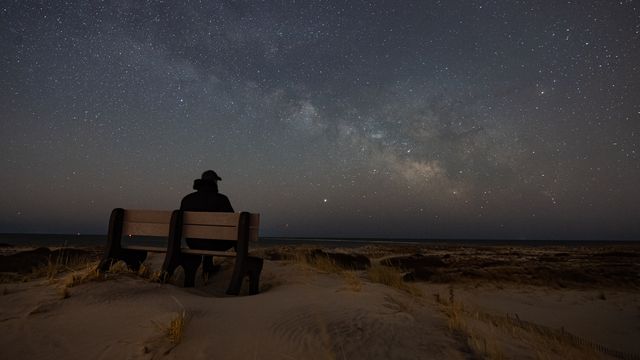 harrycollinsphotography/Envato