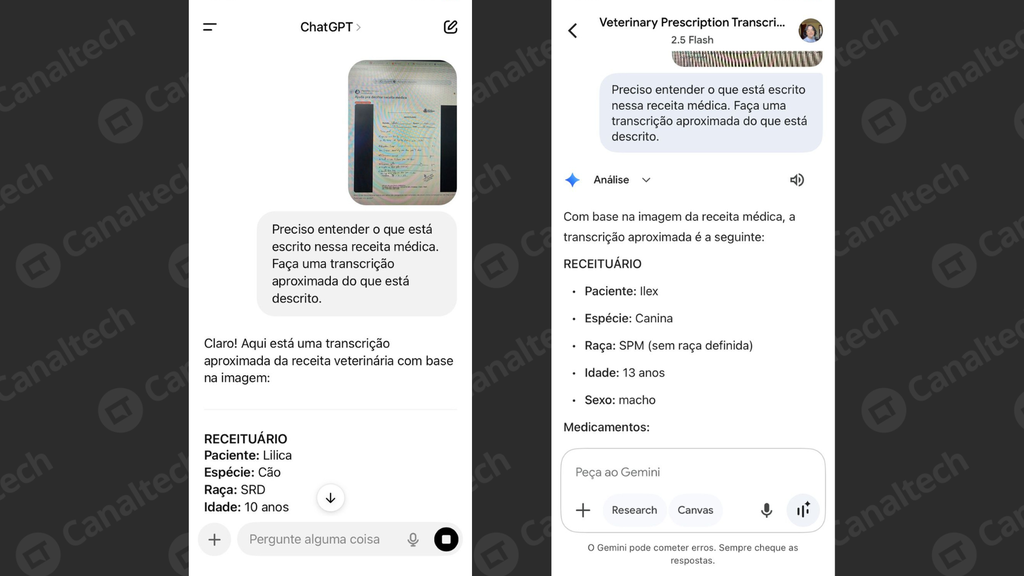 (Imagem: Captura de tela/Emanuele Almeida/Canaltech)