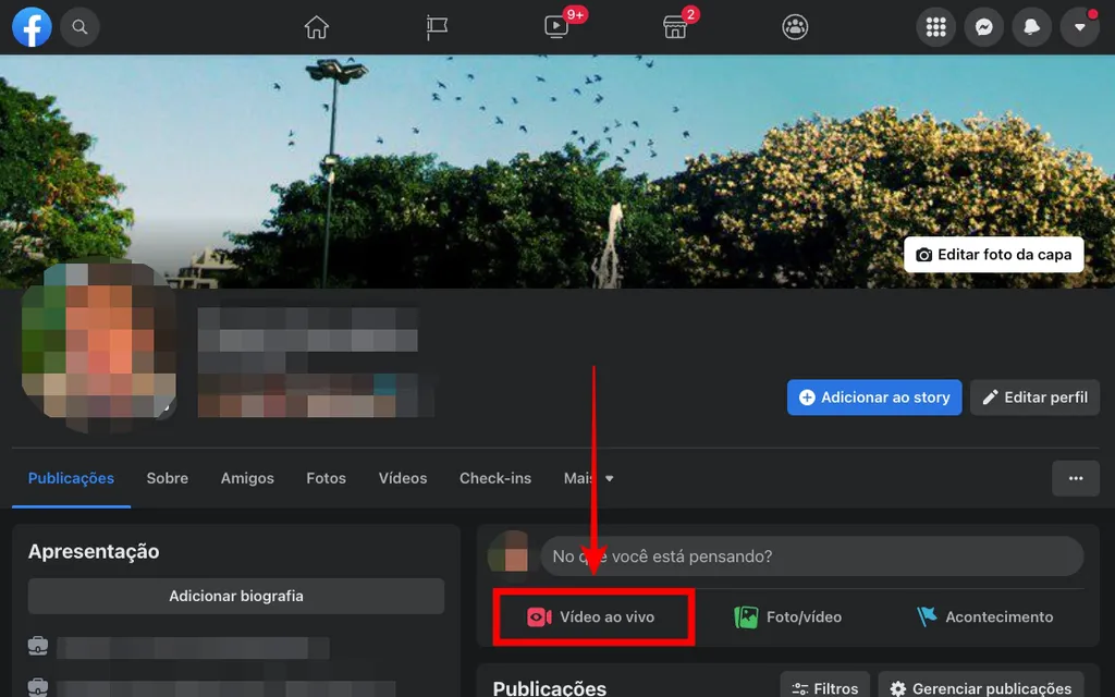 Facebook tem opção para abrir uma live usando a versão web da rede social (Captura de tela: Caio Carvalho)