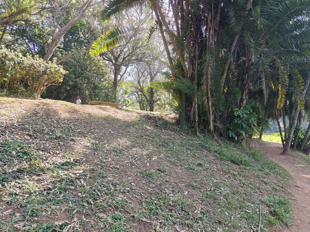 Foto feitas com o Realme GT6