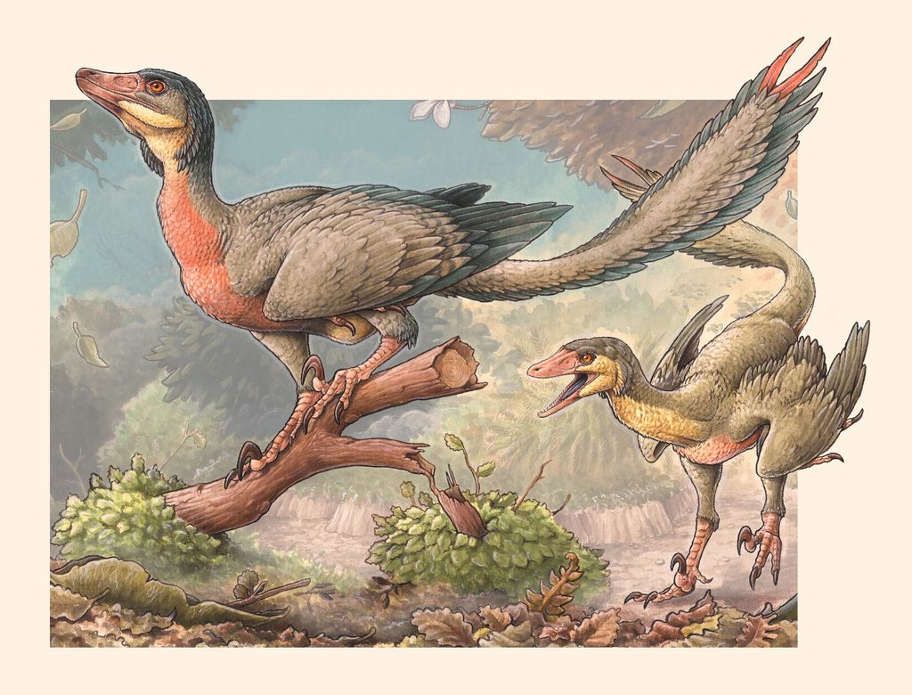 Dinossauro-pássaro que viveu há 90 milhões de anos é descoberto na Patagônia