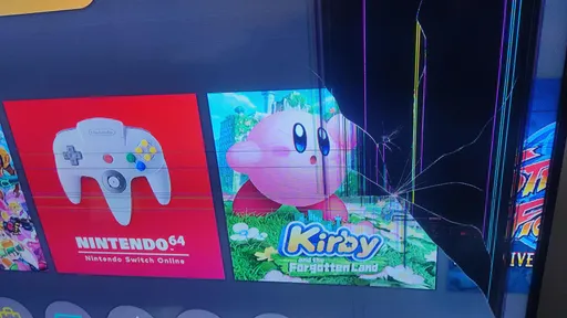 Jogadores de Nintendo Switch Sports já estão quebrando TVs acidentalmente