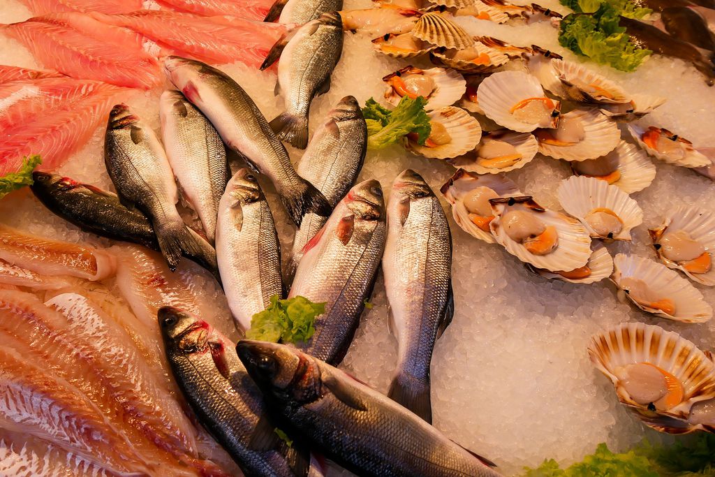 Casos da Doença de Haff são identificados na Bahia e estão associados ao consumo de peixes (Imagem: Reprodução/ Gerhard G./ Pixabay )