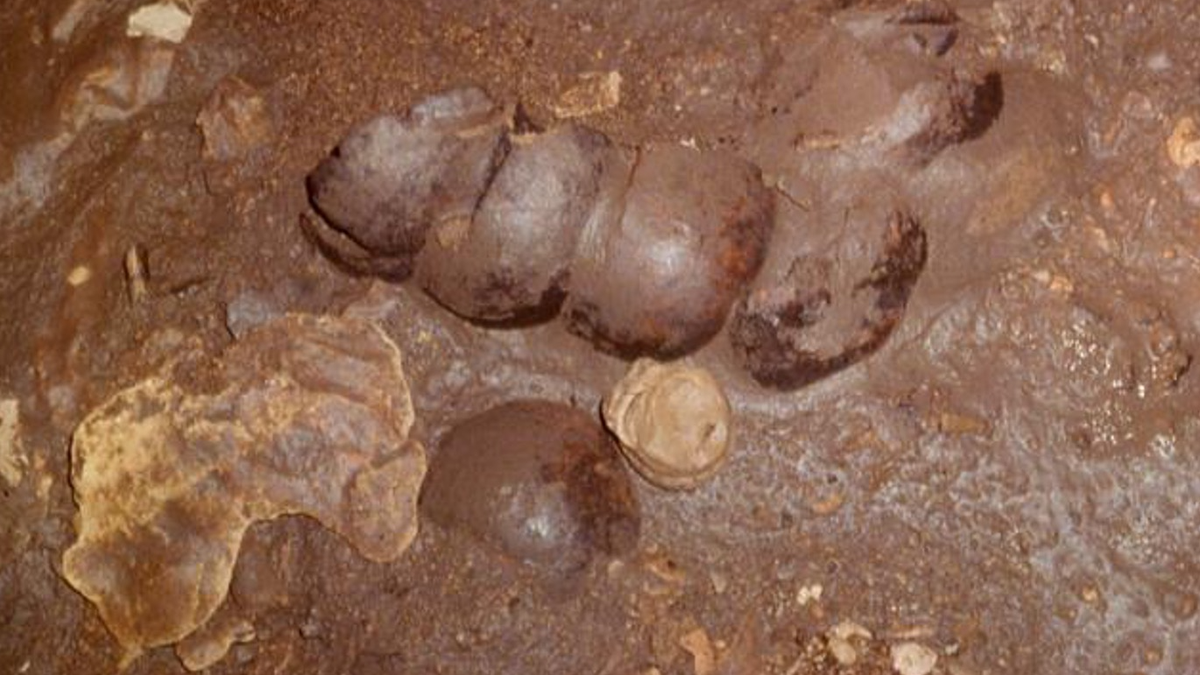 Crânios cortados | Arqueólogos descobrem antigo ritual maia bastante incomum