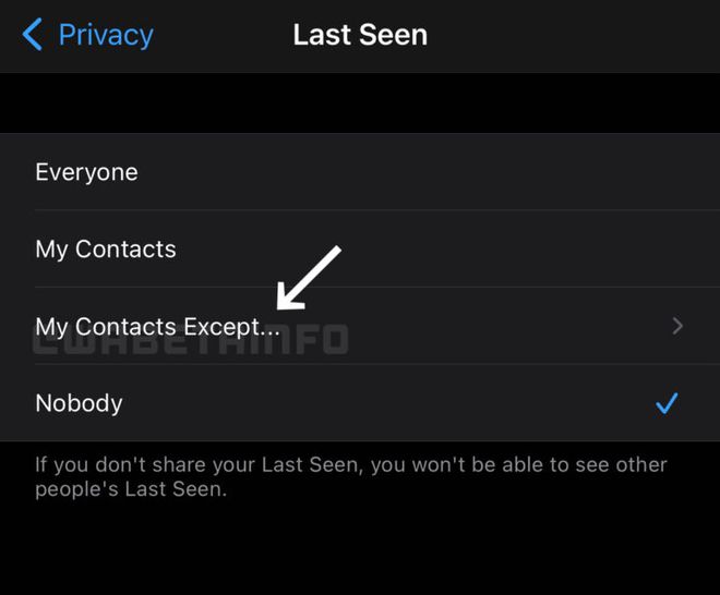 Você poderá escolher apenas pessoas específicas para não verem seus dados pessoais (Imagem: Reprodução/WABetaInfo)