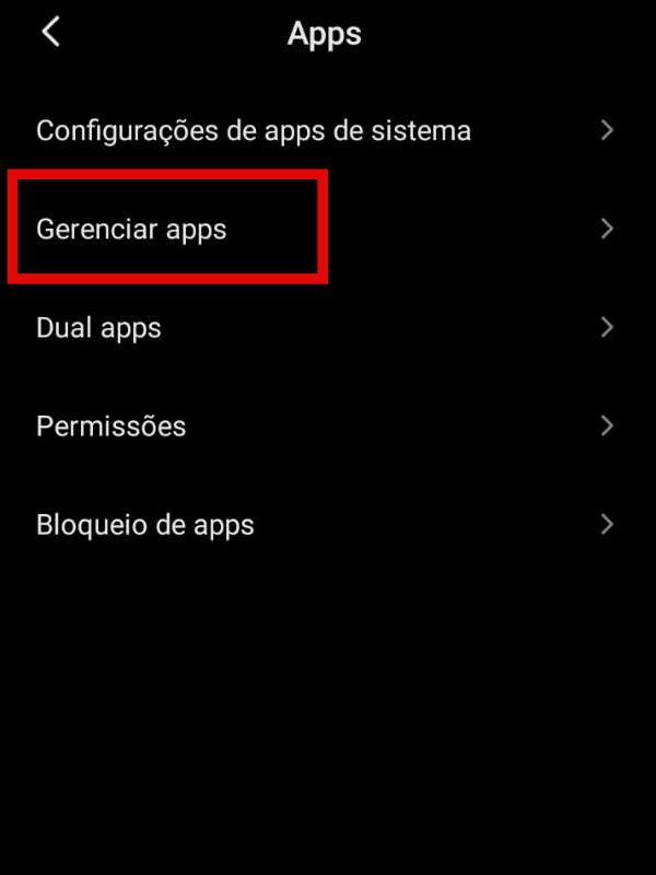 Entre em gerenciador de apps (Imagem: Guadalupe Carniel/Captura de tela)