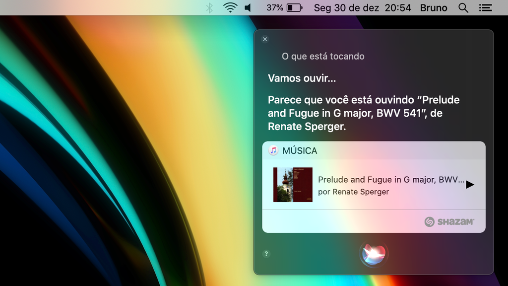 Siri reconhecendo músicas no Mac / Captura de tela: Bruno Salutes