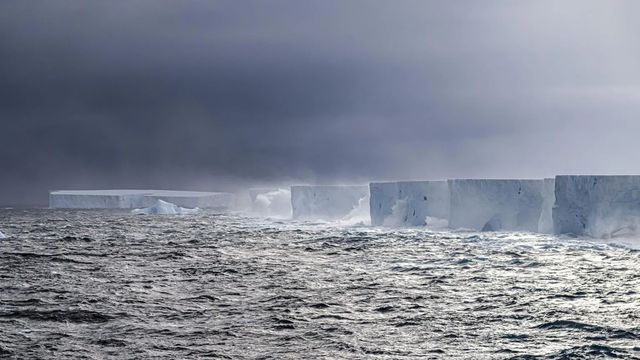 Derren Fox/British Antartic Survey