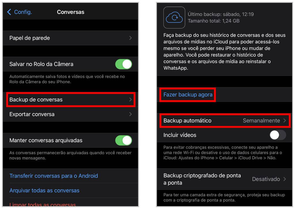 Faça o backup do WhatsApp no iPhone usando o iCloud (Captura de tela: Thiago Furquim)