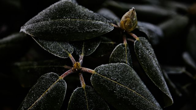 Balu Gáspár/Unsplash