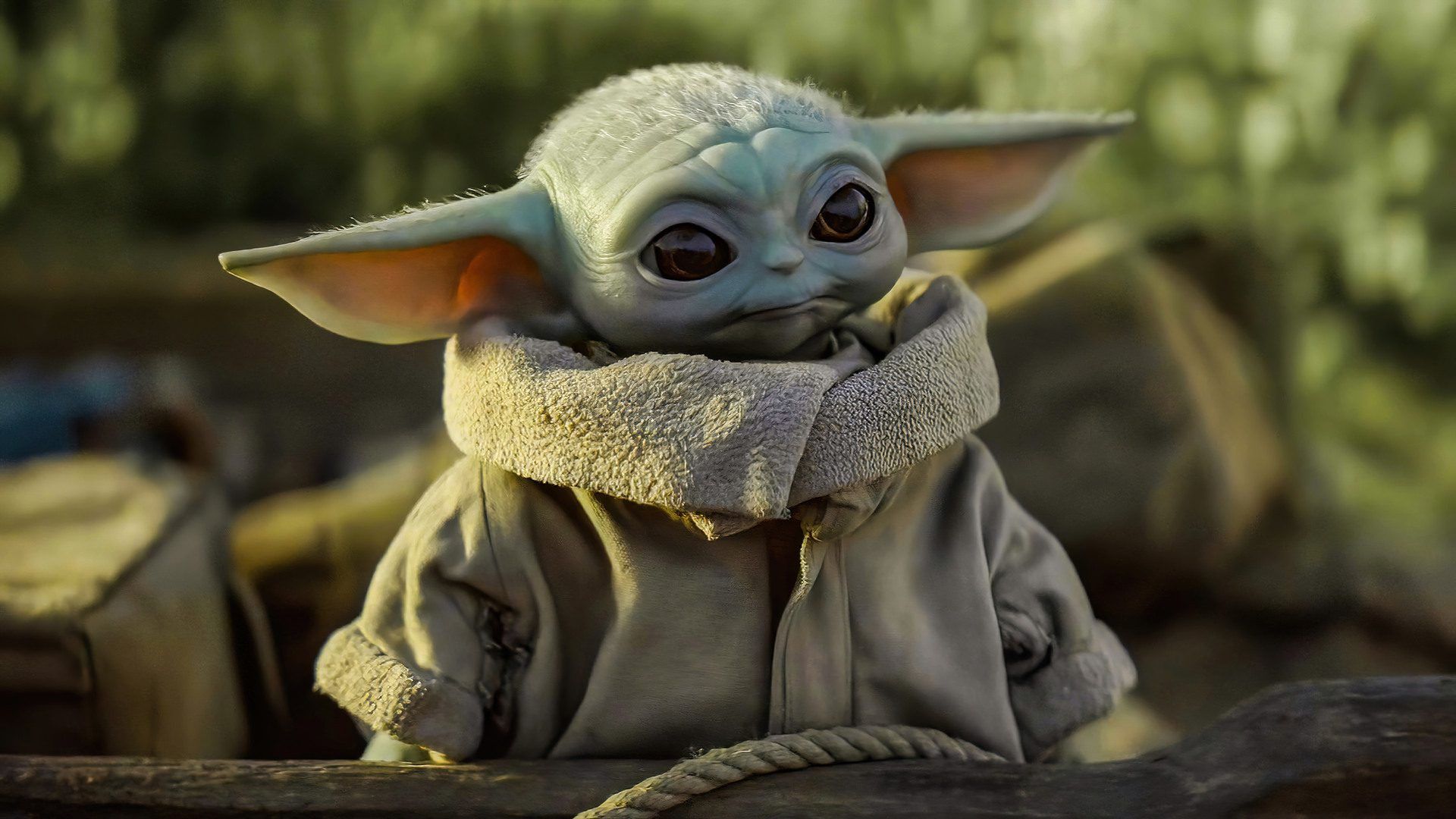 Série “Mandalorian” traz Werner Herzog e “bebê Yoda”