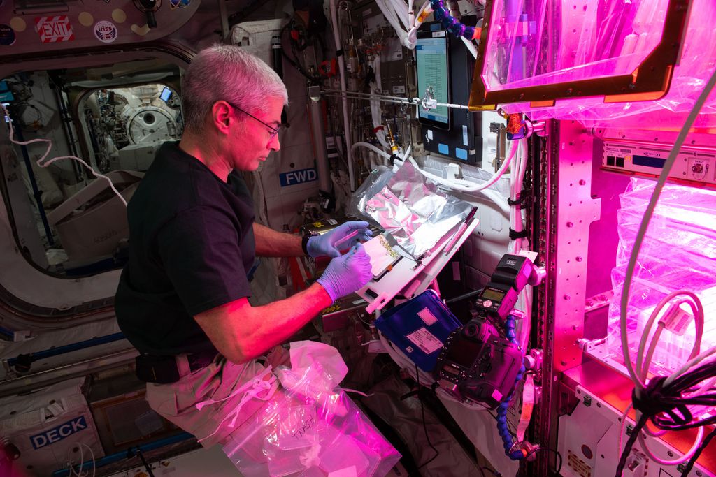 O astronauta Mark Vande Hei já ultrapassou a marca de 100 dias na órbita da Terra (Imagem: Reprodução/NASA)