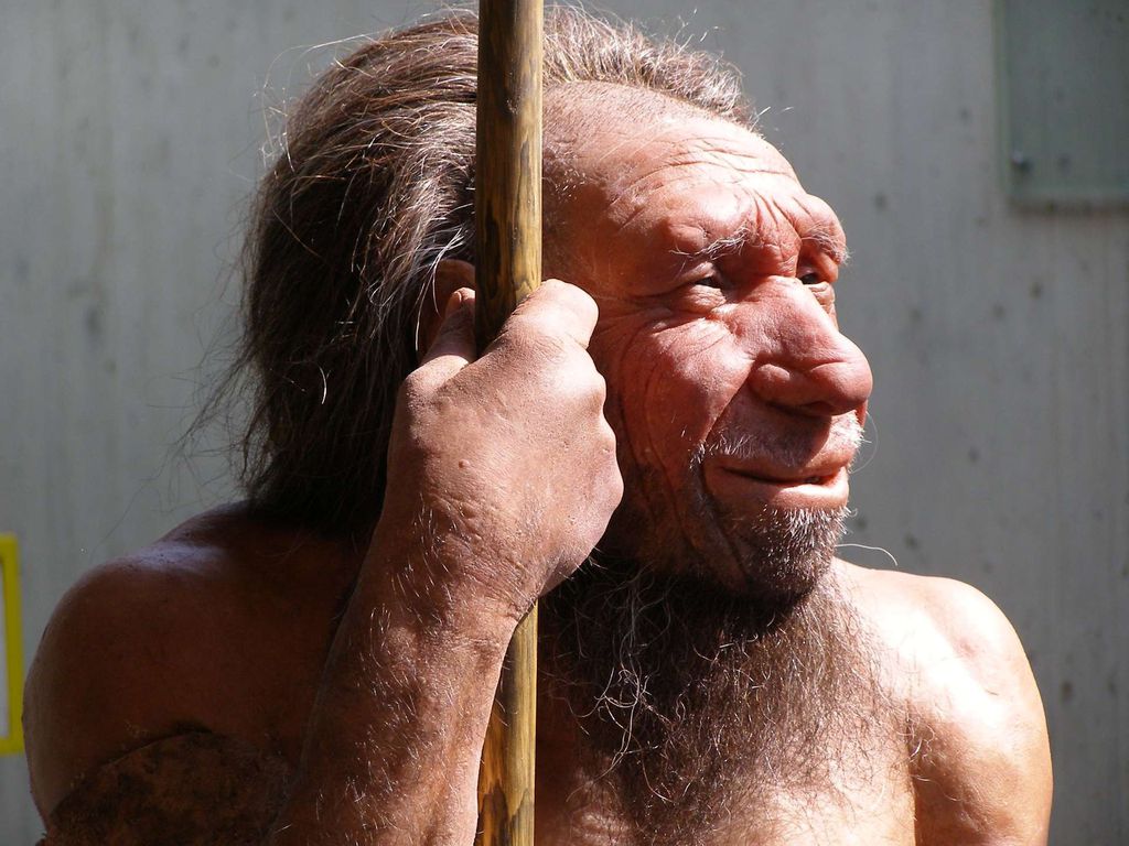 Neandertais e humanos mantiveram relações sexuais há 47 mil anos, por quase 7 mil anos (Imagem: Erich Ferdinand/CC BY 2.0)