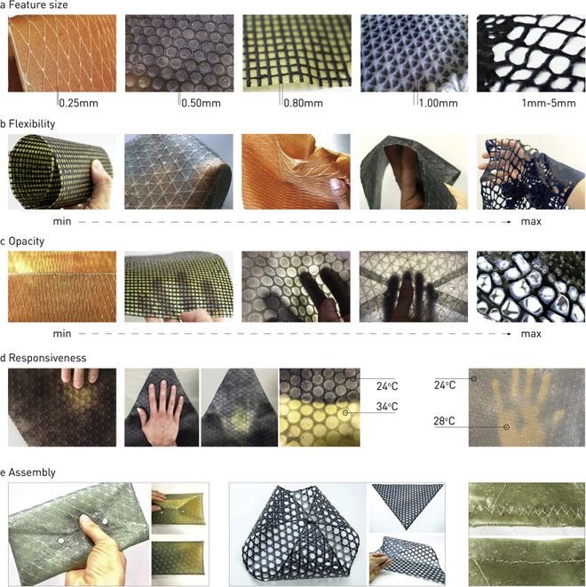 Texturas e cores do couro de seda (Imagem: Reprodução/Tufts University)