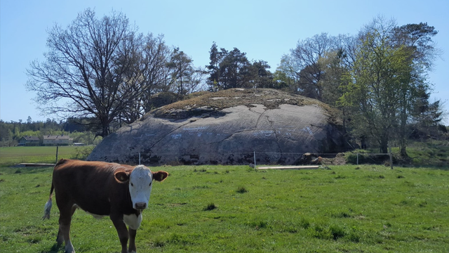 Foundation for Documentation of Bohuslän’s Rock Carvings