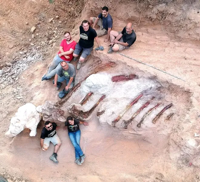 Paleontólogos posam com os fósseis do saurópode desconhecido de Monte Agudo (Imagem: IDL Ciências ULisboa)Imagem: