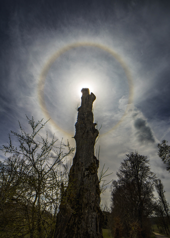 Halo solar