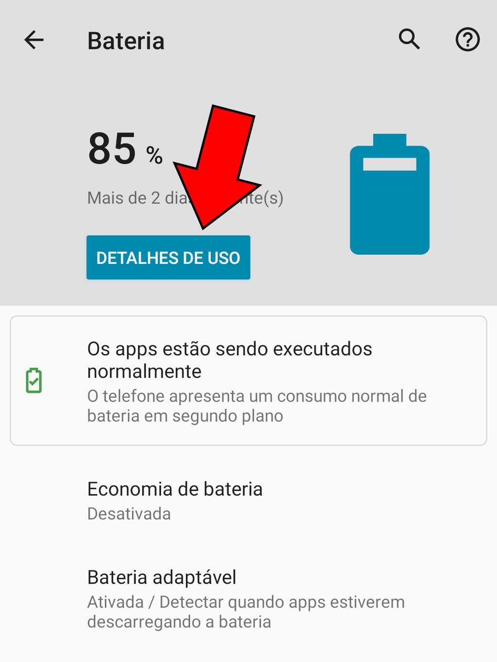 Em alguns aparelhos, a opção Detalhes de uso mostra apps gastões (Captura de tela: Felipe Junqueira)