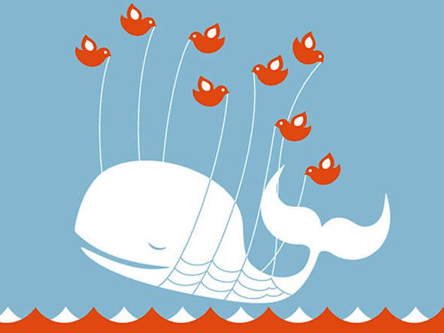 Baleia do Twitter Baleia do Twitter