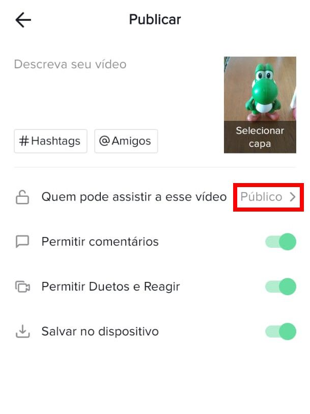 Como assistir a vídeos privados no