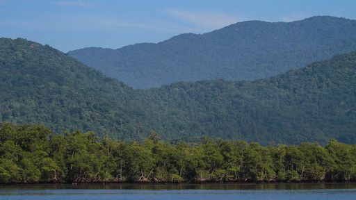 Ação humana já degradou 42% da biodiversidade da Mata Atlântica, diz estudo