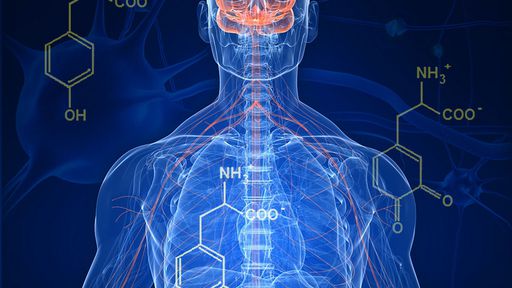 Pesquisadores criam sistema que detecta o Mal de Parkinson com um telefonema