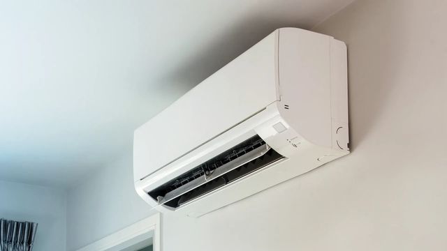 Reprodução/Shutterstock