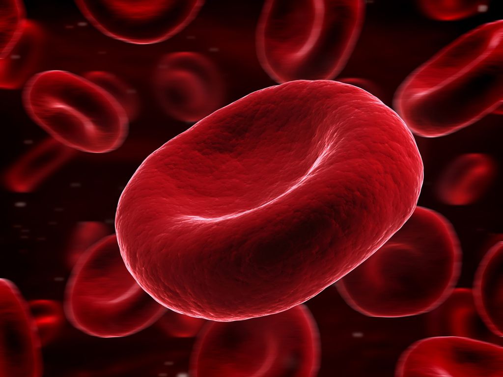 "Biomarcadores" descobertos por pesquisadores holandeses fazem com que um novo exame de sangue possa prever riscos de morte em populações de várias idades