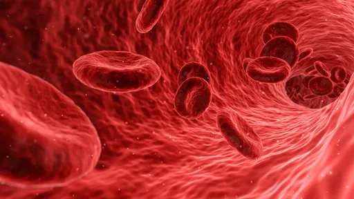 Exame de COVID-19 pode ser feito com sangue seco e custar menos, diz estudo