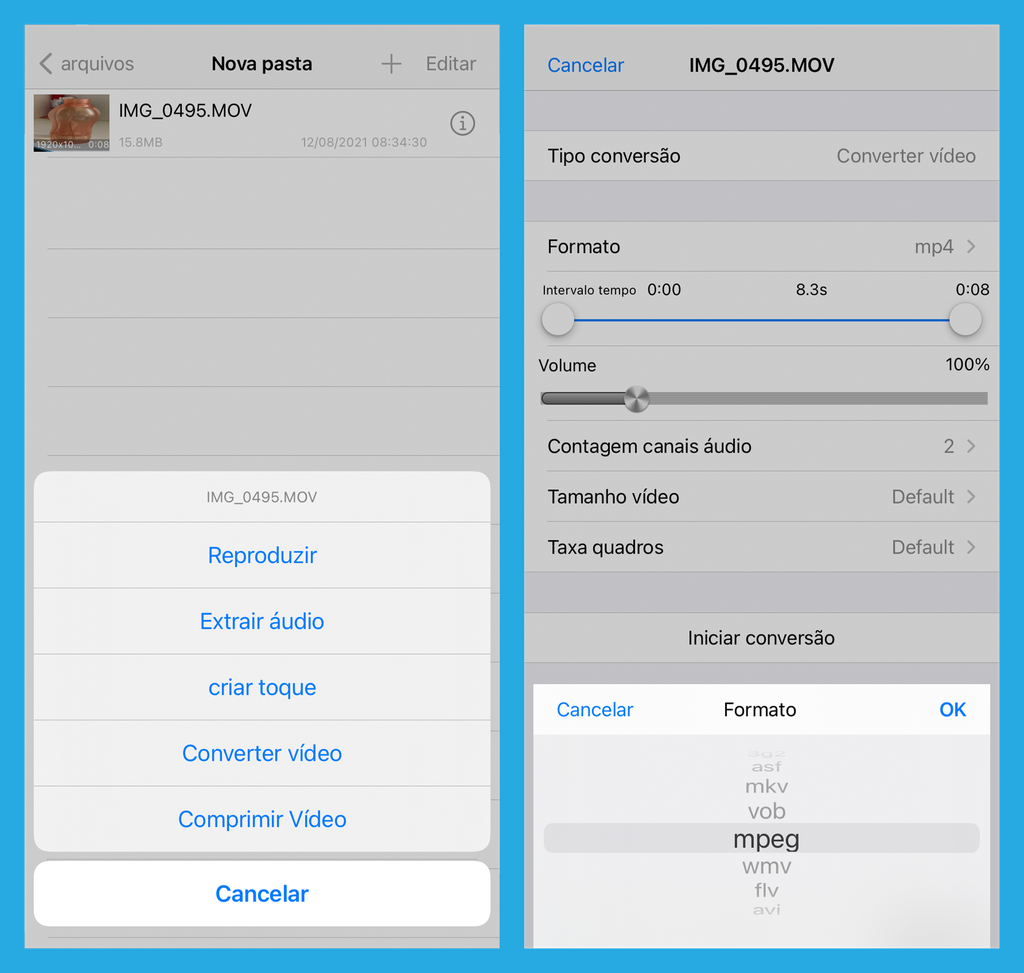 Aplicativo para iOS disponibiliza diferentes formatos para conversão (Imagem: André Magalhães/Captura de tela)