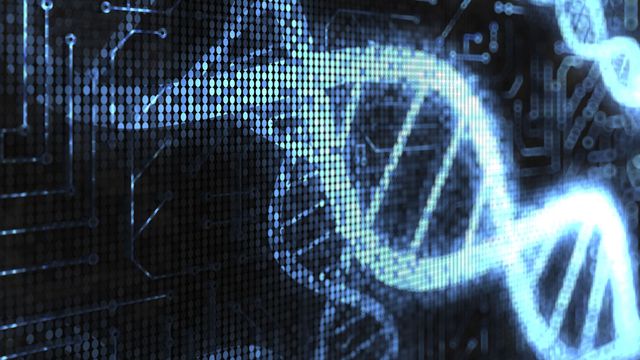 Vírus embutido em DNA humano é capaz de infectar computadores