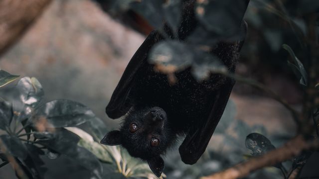 José Ignacio García Zajaczkowski/Unsplash