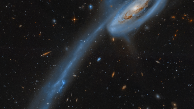 Hubble Legacy Archive, ESA, NASA; Harshwardhan Pathak