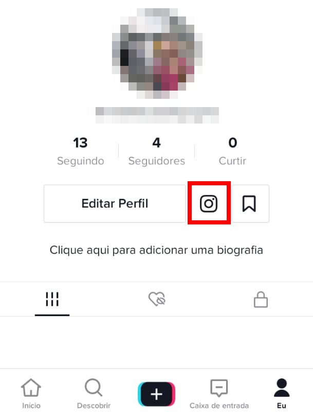 Volte ao seu perfil e note que agora há o ícone do "Instagram" ao lado do item "Editar Perfil" (Captura de tela: Matheus Bigogno)