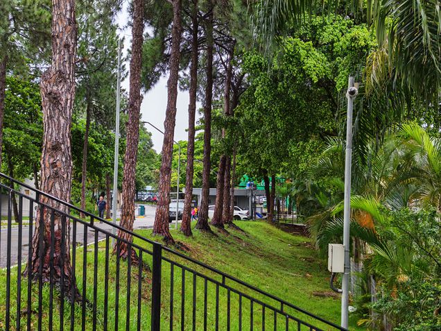 Honor Magic V5 - Teste de c&acirc;meras