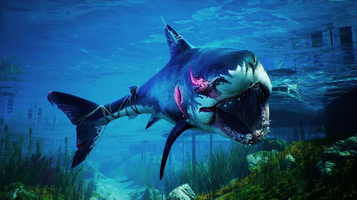 Simulador de tubarão assassino está de graça para PC