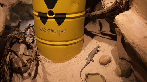 O que é radioatividade e para que ela serve?