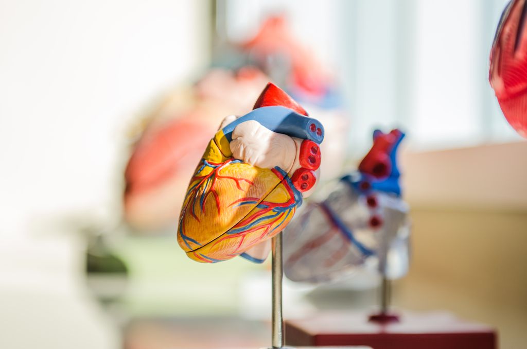 Quem já sofreu um AVC tem mais chances de ter um infarto, sugere novo estudo