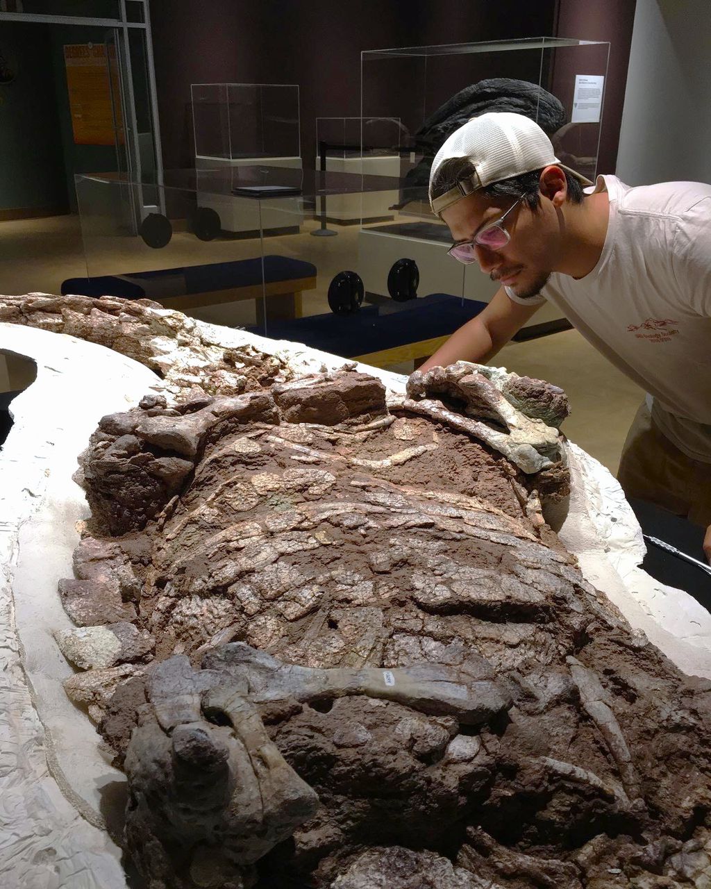 Paleontógos nos EUA encontram fóssil de animal que "usava" uma armadura blindada (Imagem: William Reyes/UT Austin)