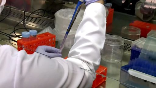 Pesquisadores mineiros desenvolvem possível vacina contra o coronavírus