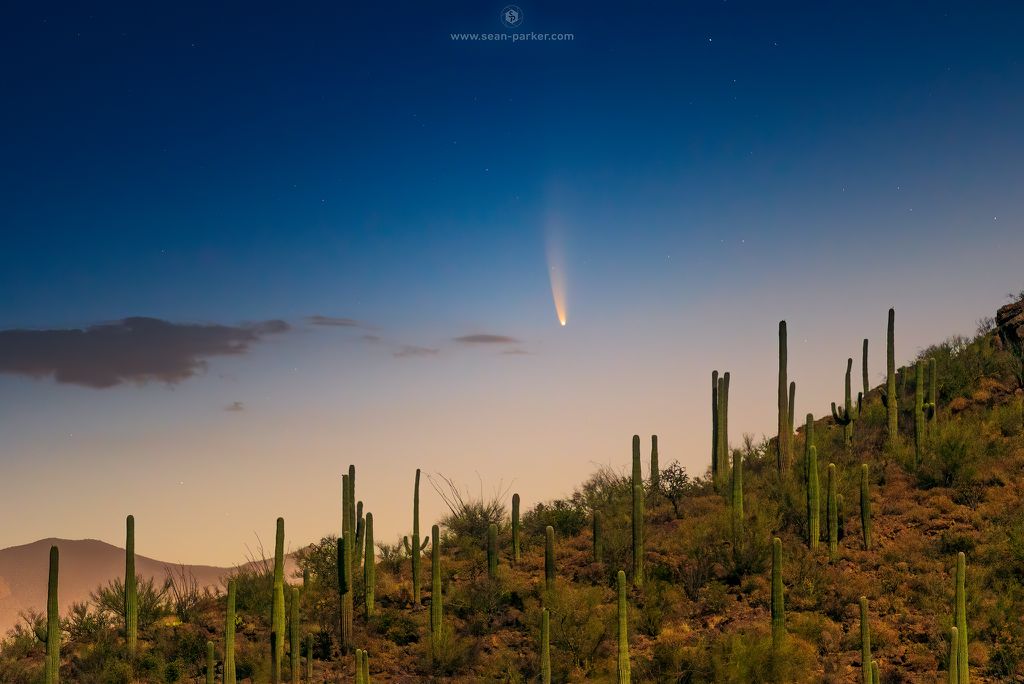 O cometa NEOWISE fotografado em Tucson, Arizona, EUA (Foto: Sean Parker)