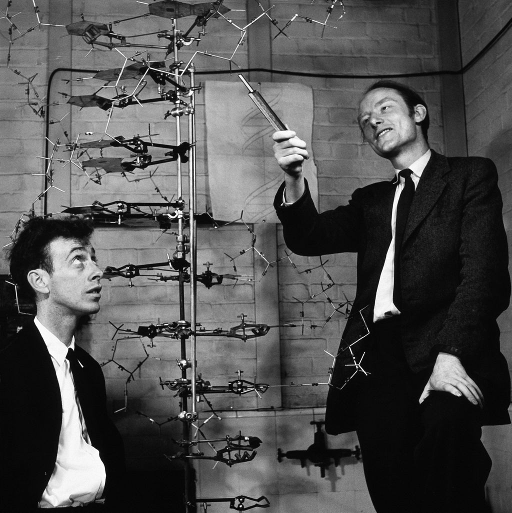 James Dewey Watson e Francis Crick