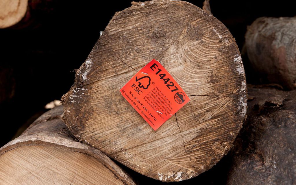 Madeira com a certificação FSC indicando que a empresa segue práticas sustentável, como o replantio de florestas (Imagem: Reprodução/WWF)