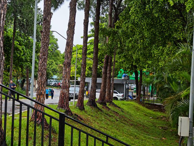 Honor Magic V5 - Teste de c&acirc;meras