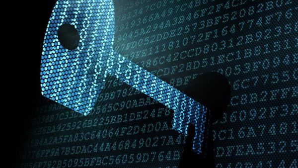 Terroristas do Estado Islâmico não usaram criptografia para organizar ataques
