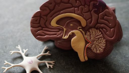 COVID-19 afeta cérebro e células nervosas, segundo estudo brasileiro