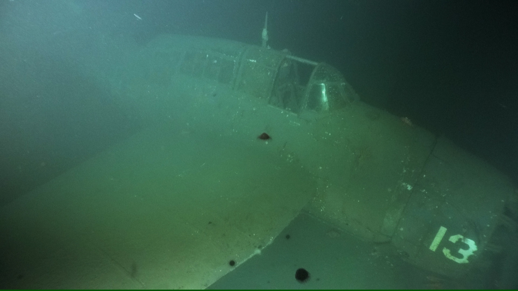 O avião da marinha americana Grumman TBF Avenger afundou nos anos 1950 enquanto era usado para treinamento (Imagem: Anna Michel/NSF GEO/WHOI)